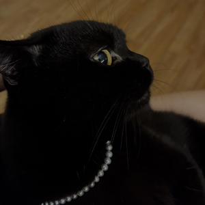 GAI周延-悔（蘇慕寒 / 纯音酱 remix）