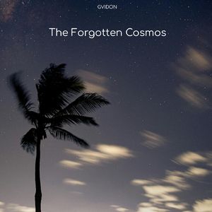 The Forgotten Cosmos