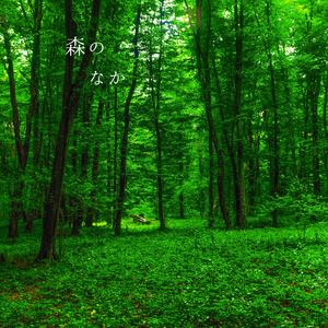 森のなか