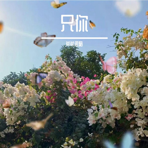 只你（cover:双笙）