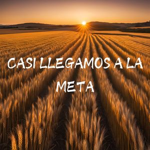 Casi Llegamos a la Meta