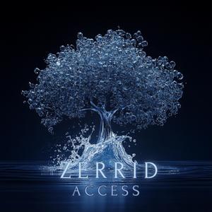 Access