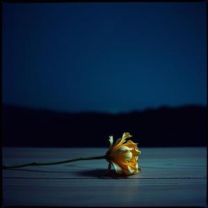 เธอเลือกเขา