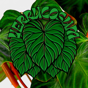 Hypoestes Hypothesis