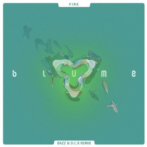 Fire (BAZZ & D.C.R Remix)