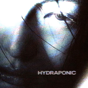 HYDRAPONIC