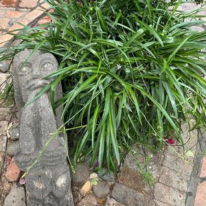 The Conversations Dead, You're Kicking The Corpse