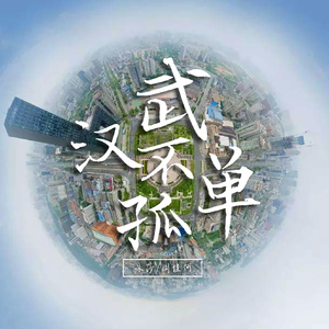 武汉不孤单