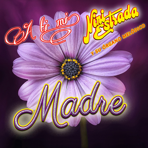 Mañanitas Tapatías