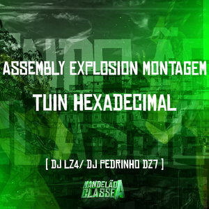 Assembly Explosion Montagem Tuin Hexadecimal