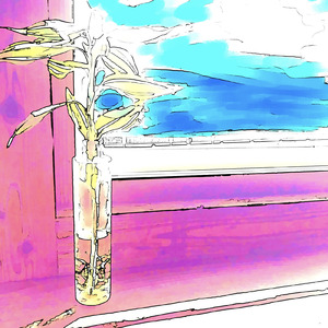 アクアプラネタリア