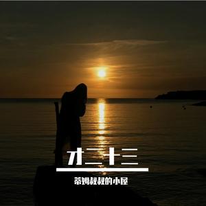 才二十三（cover方大同）