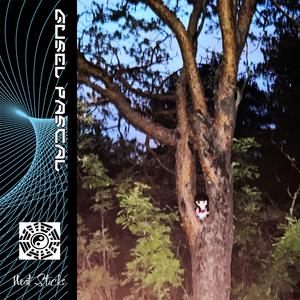 Neat Sticks (Single Version)