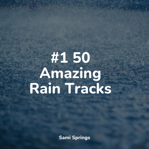 Forest, Night, Frogs