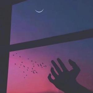 浪漫主义（翻自 姜云升）