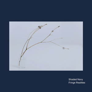 Fringe Realities
