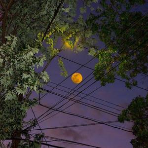 工作大师 正式版