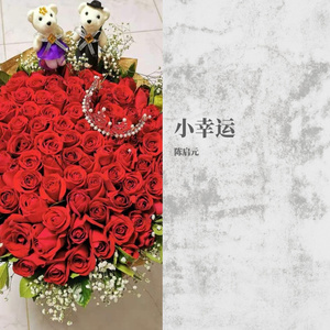 小幸运（钢琴版）