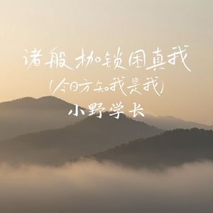 诸般枷锁困真我(今日方知我是我)