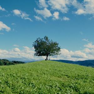 augevomchind (feat. ydbibi, schivio, julio & wegas)