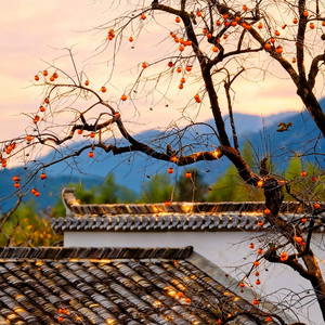 涩柿子般的心事+＃百万奖金AI创作大赛+主题二