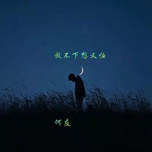 放不下想又怕（DJ何友版）