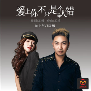 爱上你不只是一个人错 (伴奏)