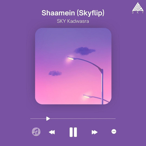 Shaamein (Skyflip)
