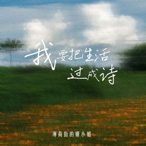 我要把生活过成诗