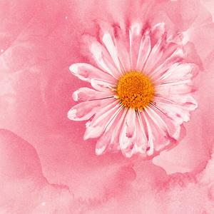 I'll always be there for you whenever you need me (STARS) (feat. Karlo.Knows)