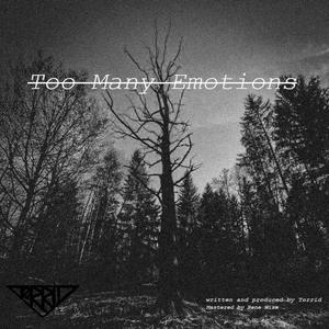 Too Many Emotions (Of unsound mind Remix) (Of unsound mind Remix)