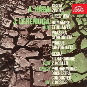 Prague Sinfonietta for Large Orchestra, III. Allegro scherzando