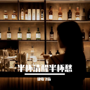 半杯清醒半杯愁