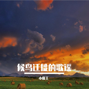 候鸟迁徙的歌谣