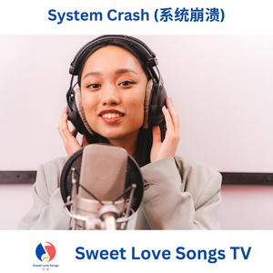 System Crash (系统崩溃)