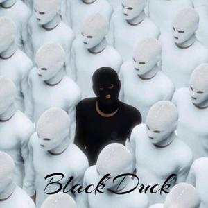 Black Duck