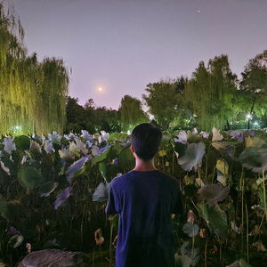 可惜我是水瓶座