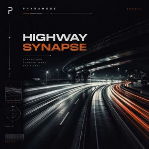 Highway Synapse