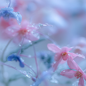 ゆらゆらミルキーアパート