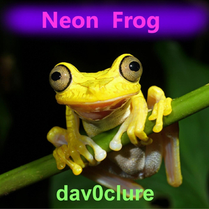 Neon Frog