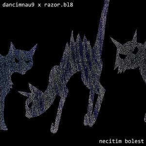 necitimbolest (feat. razor.bl8)