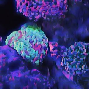 Scenes from a Train Window