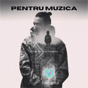 Pentru Muzica (feat. Shayan)