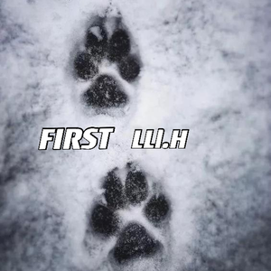 当我写了第一首（prod by lik）