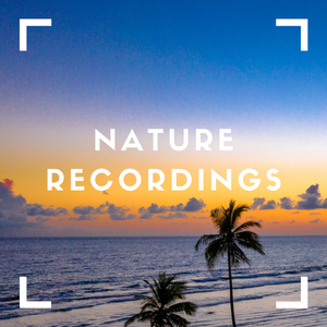 Skies Of Darkness (Clouds)