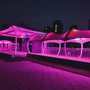 起风了（林俊杰）