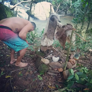 ACAMPANDO