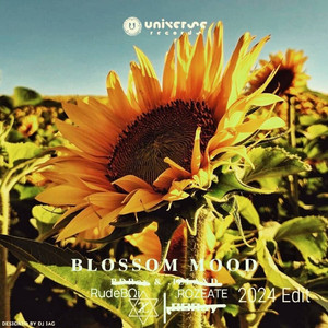 Blossom Mood(2024 Edit)