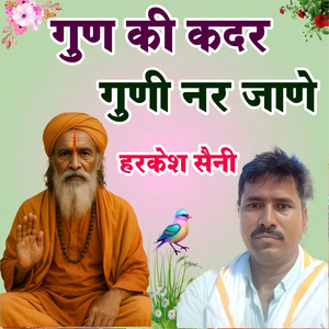गुण की कदर गुणी नर जाणे