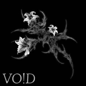 VO!D